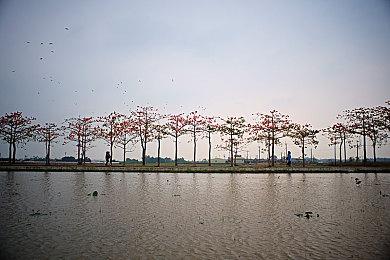 《古墓丽影三部曲重制版合集》全平台实体版正式公布